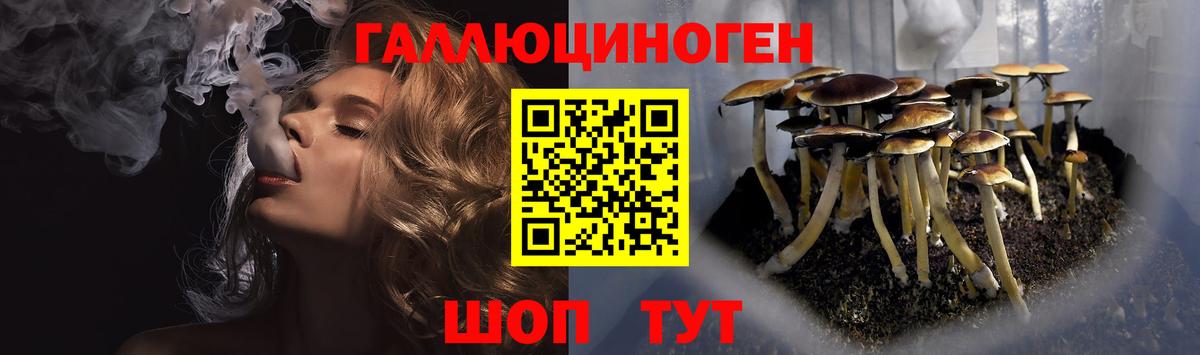 Галлюциногенные грибы Psilocybine cubensis  Вход с VPN  Минеральные Воды 